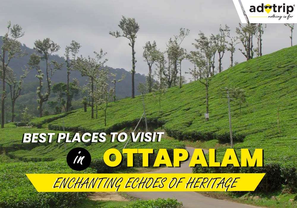 15 Best Tourist Places to Visit In Ottapalam